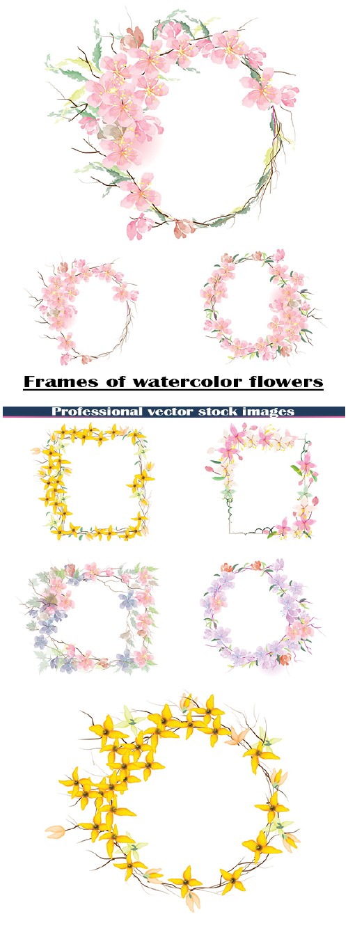 Рамки из акварельных цветов