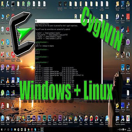 Linux внутри Windows (2016) WEBRip