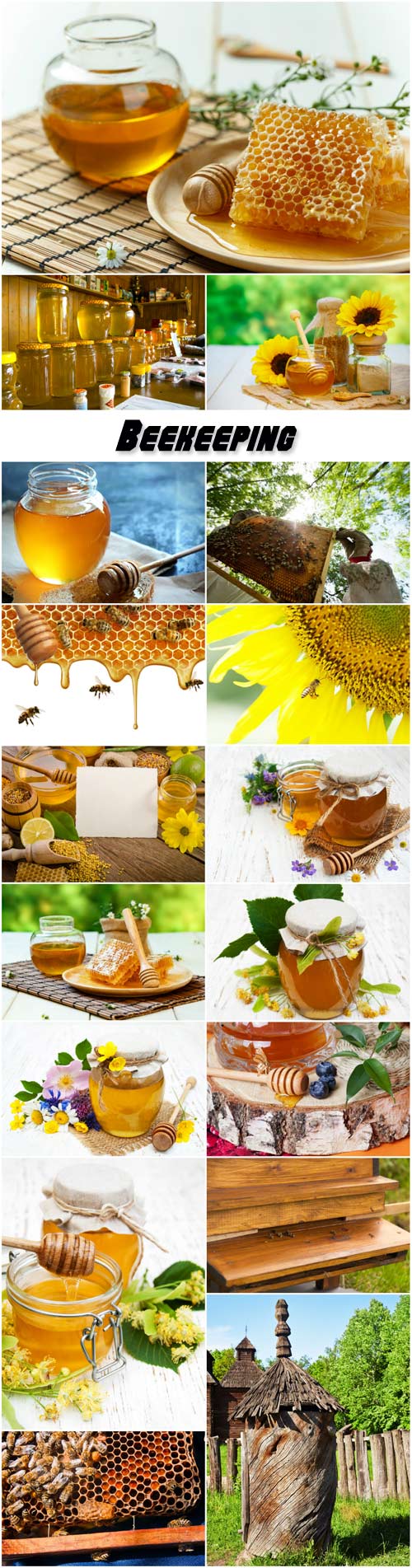Beekeeping, fresh honey