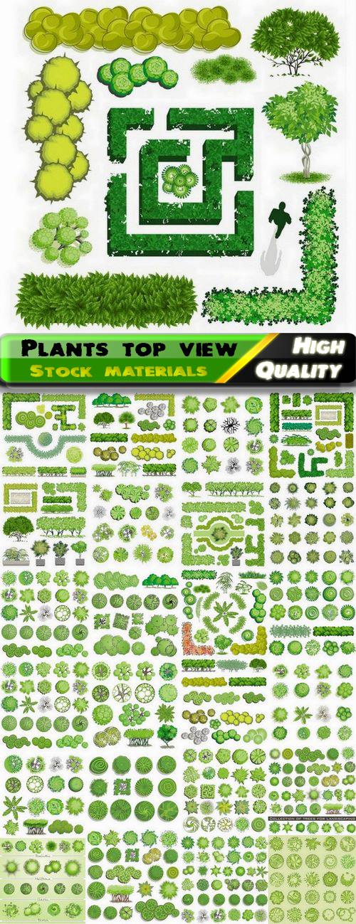 Illustrations of shrubs and trees top view - 25 Eps