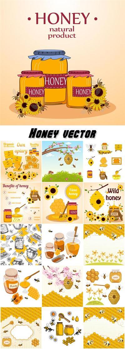 Honey vector, natural product