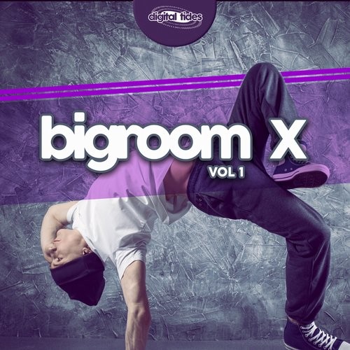 Bigroom X, Vol. 1 (2016)