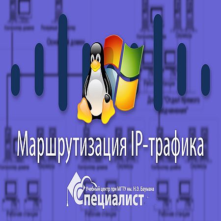 Маршрутизация IP-трафика (2016) WEBRip