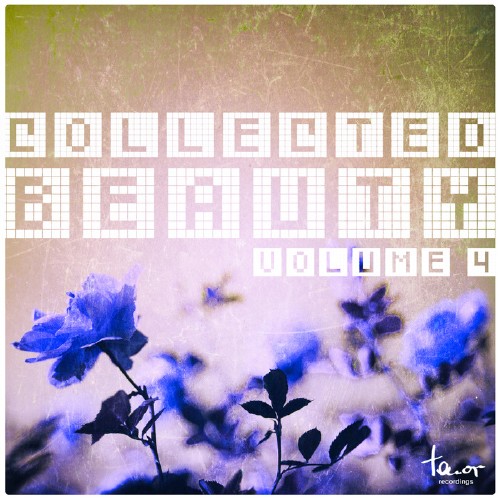 Collected Beauty, Vol. 4 (2016)