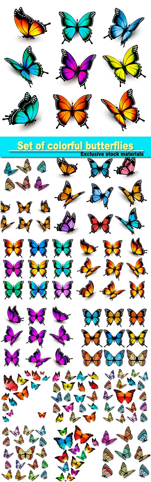 Set of colorful butterflies vector #7