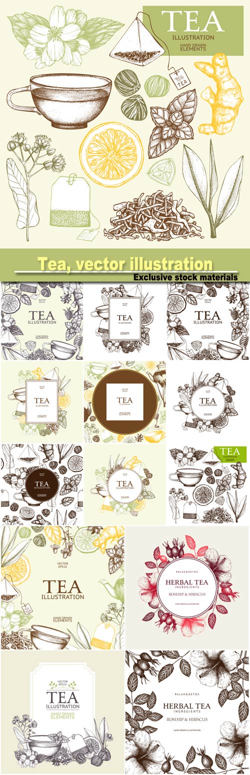 Tea, vector illustration