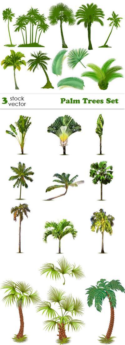 Vectors - Palm Trees Set