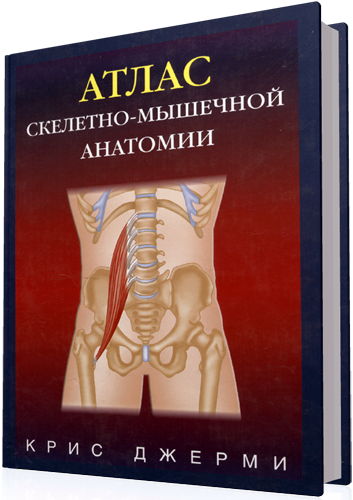 Джерми Крис - Атлас скелетно-мышечной анатомии