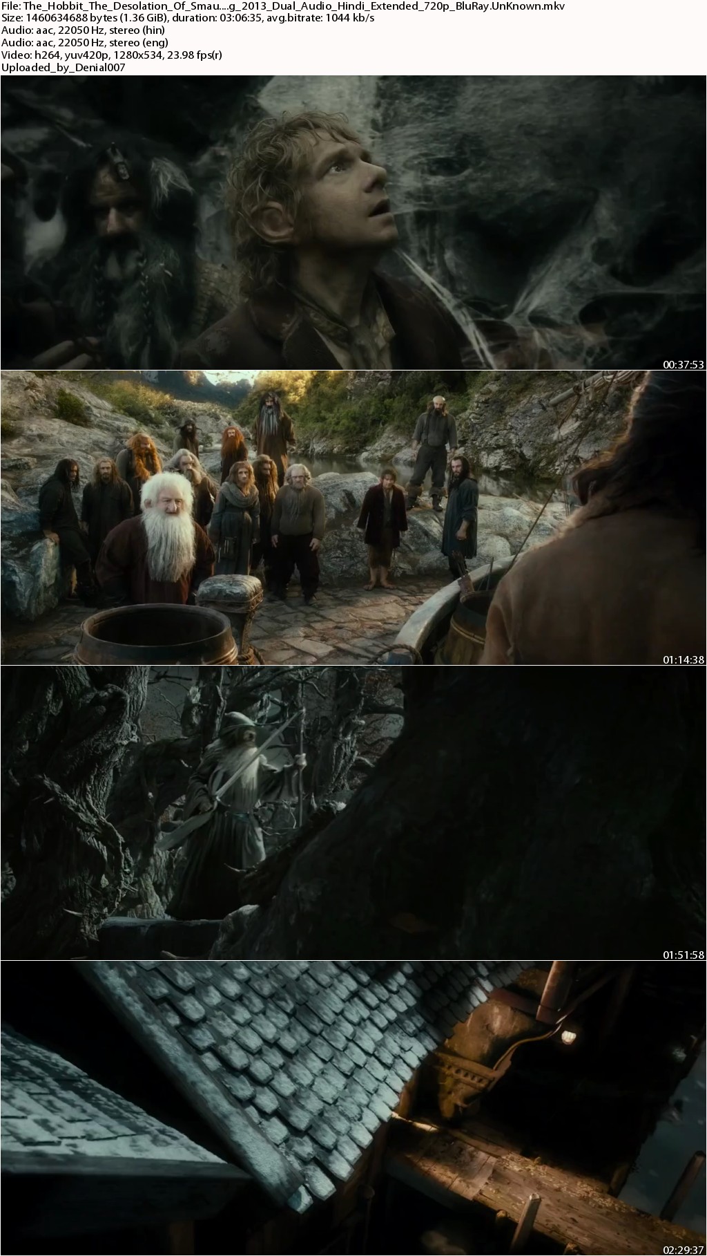 The Hobbit The Desolation Of Smaug (2013) Extended 720p BluRay Dual Audio - UnKnown