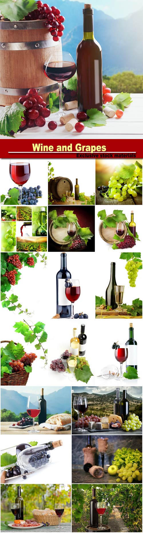 Wine and Grapes, grape leaves on a white background