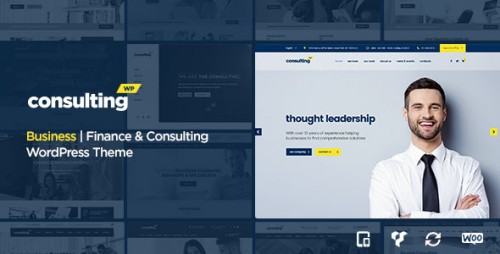 Nulled Consulting v2.1 - Business, Finance WordPress Theme photo