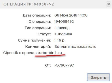 Turbo-Birds - turbo-birds.ru - 1000 рублей при регистрации 80fc8e31bd96a313e0b8e5ead4ebedda