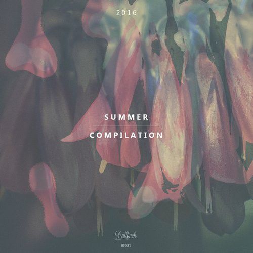 Bullfinch Summer Compilation 2016 (2016)