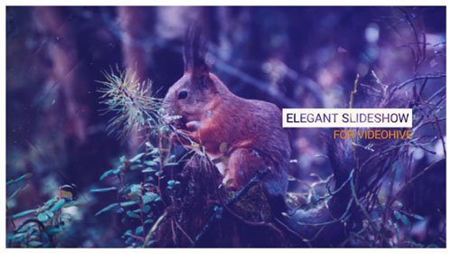 Elegant Slideshow 16579036 - Project for After Effects (Videohive)