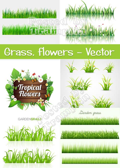 Трава, цветы - Векторные фоны
