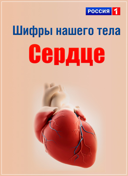 Шифры нашего тела. Сердце (2014) SATRip