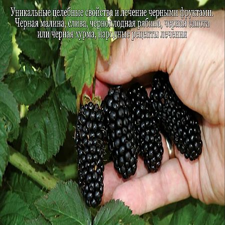 Уникальные целебные свойства и лечение черными фруктами (2016) WEBRip