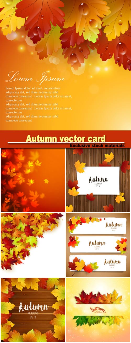 Autumn vector card, colorful autumn leaves background