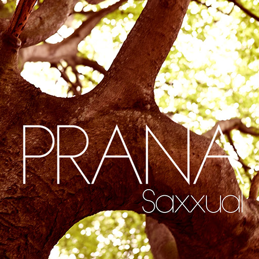 Alankara, Jazzy D - Saxxual (2014 Edit) [2014]
