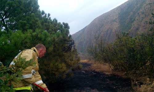 В Крыму тушили лесной пожар от удара молнии [фото]