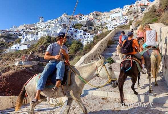 Власти Греции воспретили неким путешественникам кататься на ослах