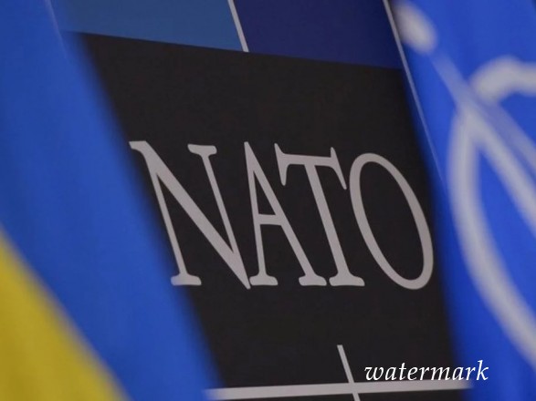 Знатоков НАТО пригласили в Закарпатье