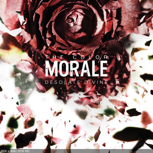 The Color Morale - Clip Paper Wings (New Track) (2016)
