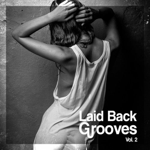 VA - Laid Back Grooves Vol.2 (2016)