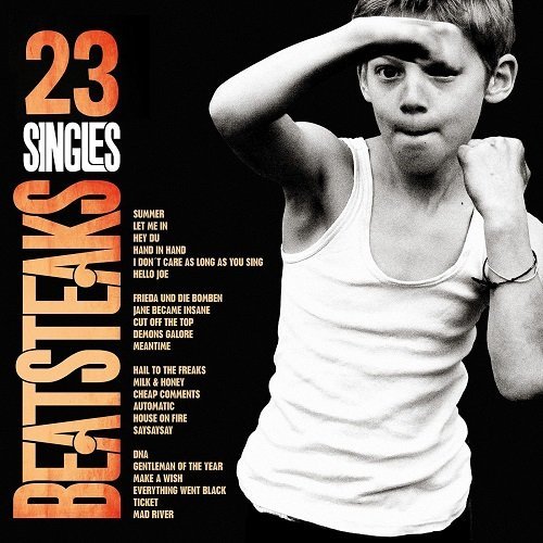 Beatsteaks - 23 Singles (2015)